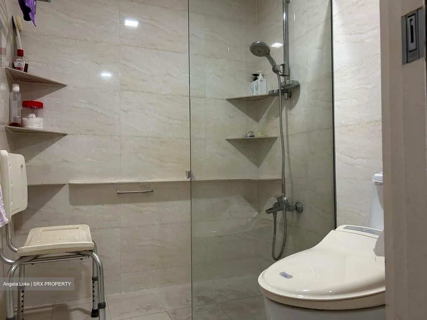 Ridgewood (D10), Condominium #625334011